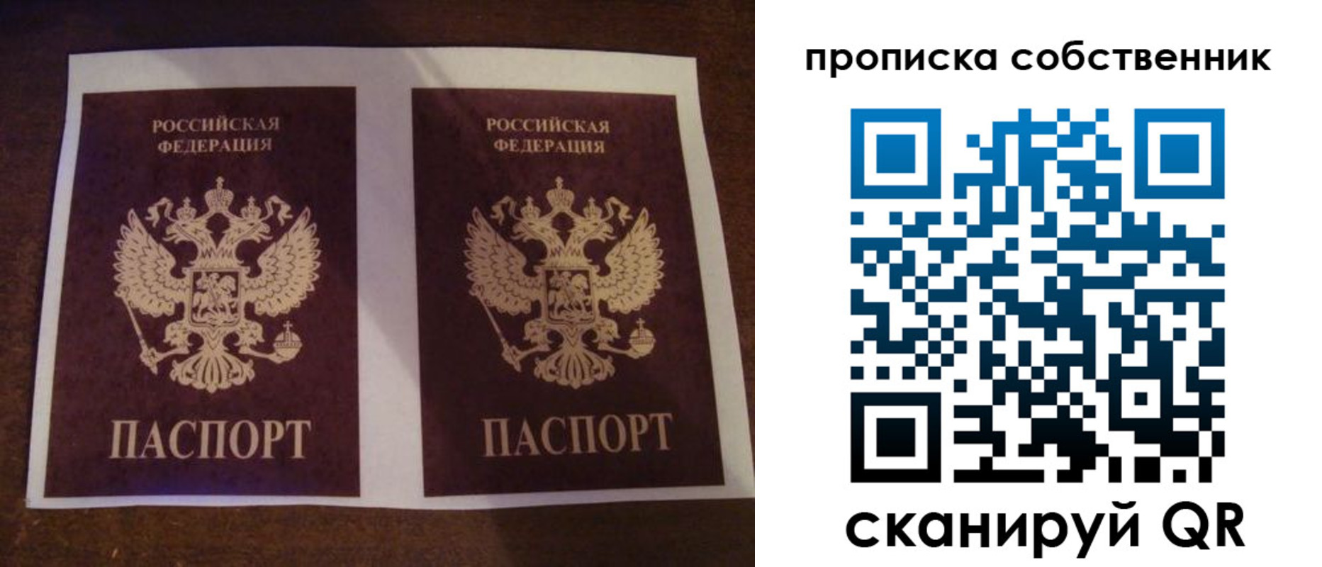 прописка ребенка в Светлом